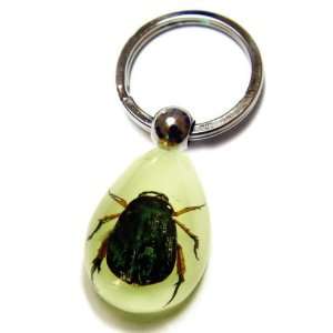  REAL RED LEGS CHAFER Key Ring 