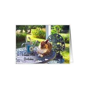  Happy 78th Birthday, calico cat on porch, garden view Card 