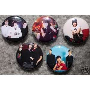  Set of 5 BRAND NEW Yeah Yeah Yeahs One Inch Buttons / Pins 