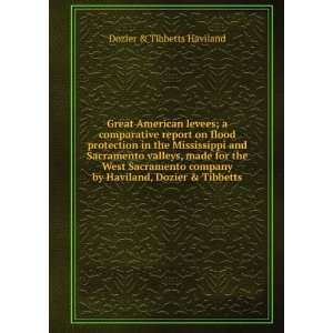 Great American levees; a comparative report on flood protection in the 