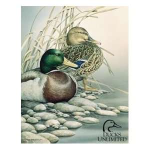  Ducks Unlimited Duck Hunting tin sign #1040: Everything 