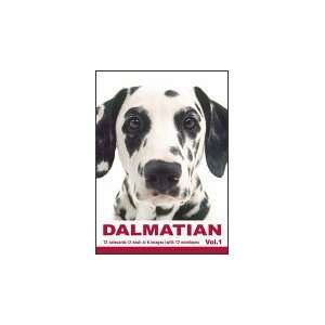  THE DOG Notecard Vol. 1   Dalmatian 