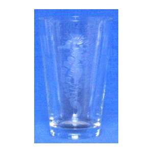  Individually Hand Etched Seahorse Tumbler Glass 7H Set 