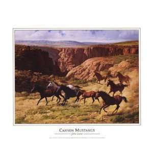    Canyon Mustangs   Poster by John Leone (20x16): Home & Kitchen