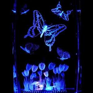 3D Laser Etched Crystal includes Two Separate LEDs Display 