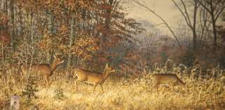 Scott Zoellick Threes A Crowd S/N Deer Print  