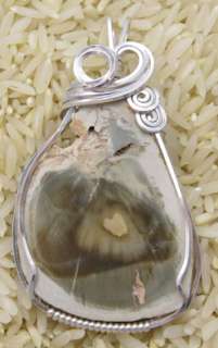 Petrified Wood Madagascar Sterling Silver Wire Wrapped Pendant  