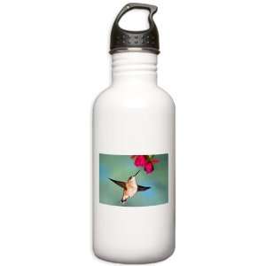   Stainless Water Bottle 1.0L Black Chinned Hummingbird: Everything Else