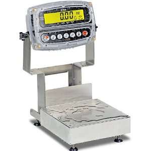  Detecto Admiral Washdown Bench Scale: 60 kg Capacity 