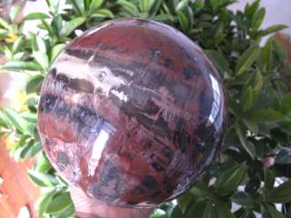 19.09lb NATURAL Huge RED Petrified Wood Crystal Sphere Ball Healing 7 