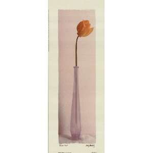    Yellow Tulip   Poster by Judy Mandolf (6x16): Home & Kitchen
