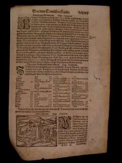 Munster 1564 print  