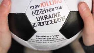 Footbal soccer calendar UEFA EURO 2012 POLAND UKRAINE souvenir  