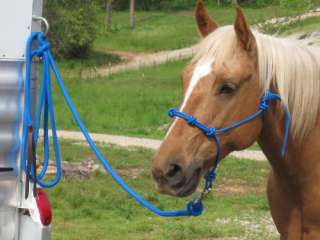 HALTER & LEAD fits PARELLI & NATURAL HORSE TRAINING RED  