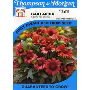  Thompson & Morgan 9087 Gaillardia Arizona Red Shades 