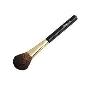  Dr. Hauschka Rouge Powder Brush Beauty