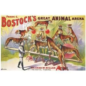  Bostocks Great Animal Arena by Unknown 24x18