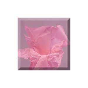   20 X 30 Quire Folded Dark Pink Tissue Paper: Health & Personal Care