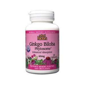     Ginkgo Biloba Phytosome Enhanced Absorption 60 mg.   60 Capsules