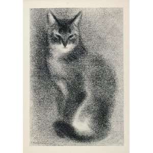  1956 Print Abyssinian Male Kitten Clare Turlay Newberry 