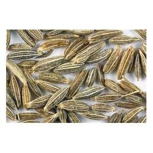 Todds Seeds   Herb   Cumin Herb Seed, Sold by the Pound 