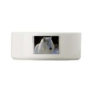  Dog Cat Food Water Bowl Arctic White Wolf: Everything Else