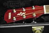 Yamaha APX500 Thinline Acoustic/Elec Guitar in Natural w/ BONUS!! Hard 