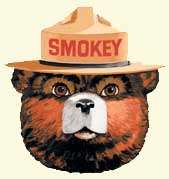 Smokey Bear represents Wildfire Prevention.