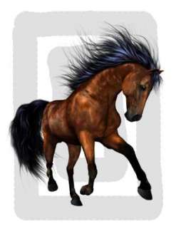 WILD HORSES PONIES PONY STALLION WALL STICKERS DECALS  