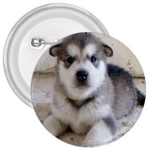 Alaskan Malamute Puppy Dog 3in Button E0007