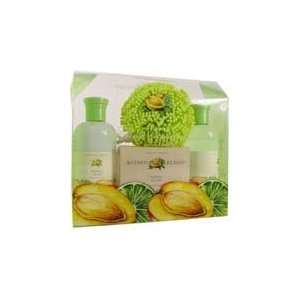 Mango and Lime Gift Collection Beauty