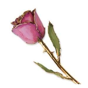 Long Stem Dipped 24K Gold Trim Fuchsia Genuine Rose in 