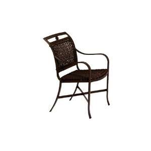   Cast Aluminum Wicker Arm Patio Dining Chair Smooth Snow Finish: Patio