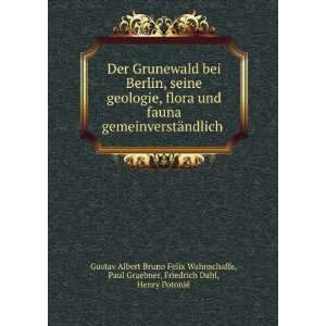   Moor (German Edition) Gustav Albert Bruno Felix Wahnschaffe Books
