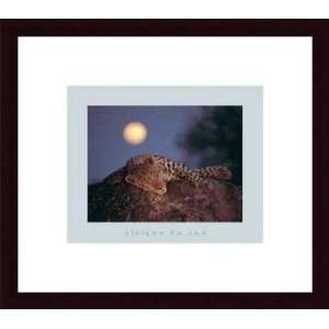   with Rising Moon   Artist Thom  Poster Size 9 X 11
