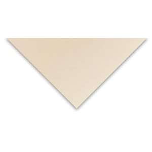  Pacon Storybook 2 Ply Tag Board   White, 9 times; 12, Tag 