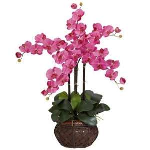  Exclusive By Nearly Natural Dark Pink Phalaenopsis w 