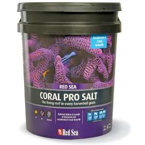  Red Sea Coral Pro Salt 175 Gallon Bucket: Pet Supplies
