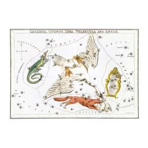    Cygnus and Adjacent Constellations 20x30 Canvas