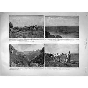  1900 Drakensberg Mountains Coleskop War Gun Natal