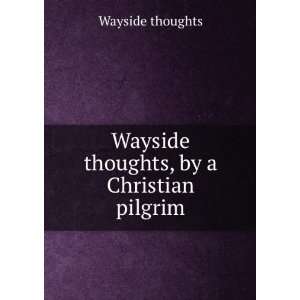    Wayside thoughts, by a Christian pilgrim: Wayside thoughts: Books