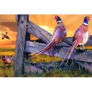  Pheasant Fence ~ Wooden Jigsaw Puzzle: Toys & Games