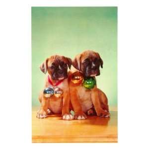  Boxer Puppies with Christmas Bulbs Giclee Poster Print 