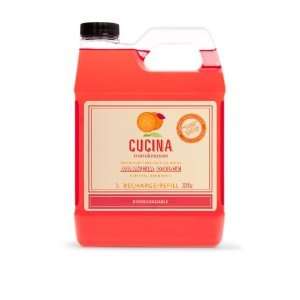   Purifying Hand Wash Soap Refill 1L Arancia Dolce: Everything Else
