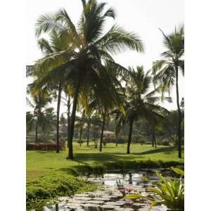The Garden and Golf Course at the Leela Hotel, Mobor, Goa, India 