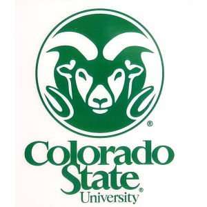  Colorado State Rams Static Cling Decal: Sports & Outdoors