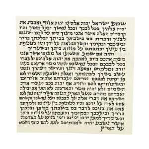   Mezuzah Scroll Ashkenaz Version from Israel 5.0 