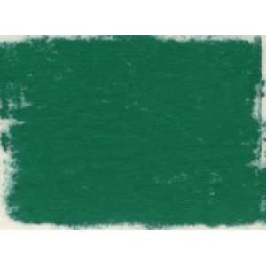  Polychromos Pastel  276 Chrome Oxide Green Fiery