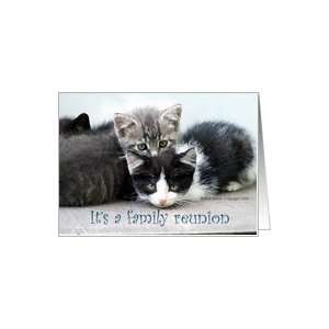 Family Reunion Invitation Kittens Card