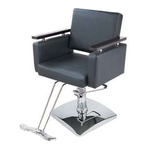    Hydraulic Styling Chair Barber Beauty Salon Equipment: Beauty